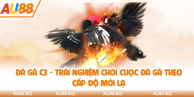 đá gà C3